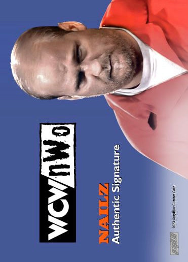 Nailz – WCW/nWo - image 2