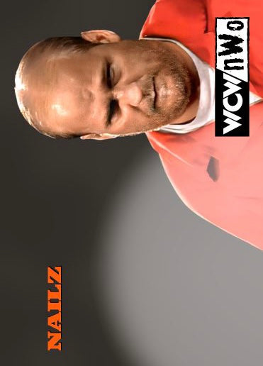 Nailz – Wcw/nwo trading card PW Catalog