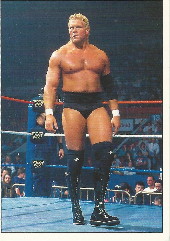 WWF Panini 1995 Sticker Collection Sid #53