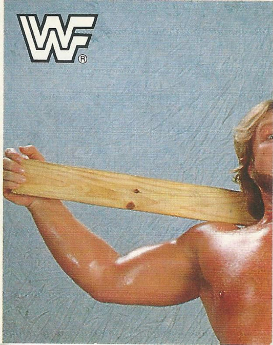 WWF Merlin Sticker Collection 1990 Hacksaw Jim Duggan #53