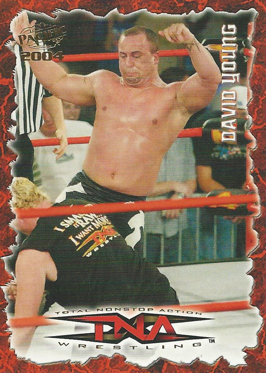 TNA Pacific 2004 David Young #53