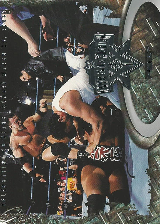 WWE Fleer Wrestlemania XX 2004 FBI #53