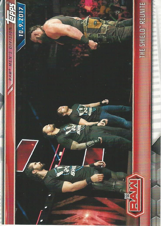 WWE Topps Champions 2019 The Shield #4