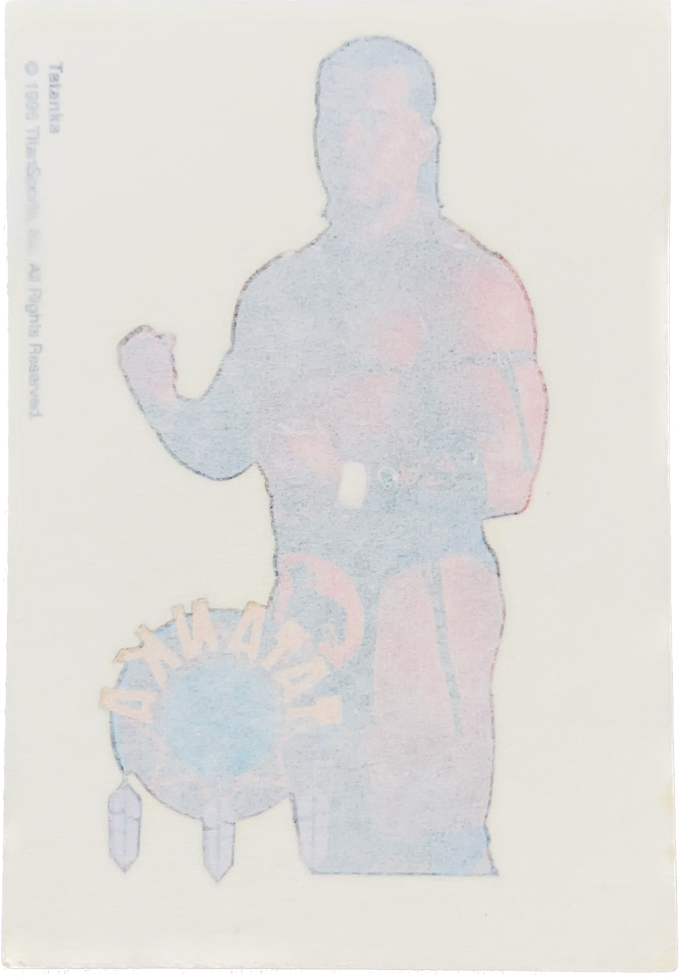 WWF Tattoos 1995 Tatanka from Germany Pwcatalog