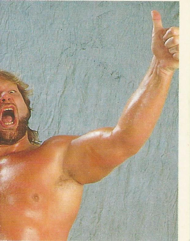 WWF Merlin Sticker Collection 1990 Hacksaw Jim Duggan #54