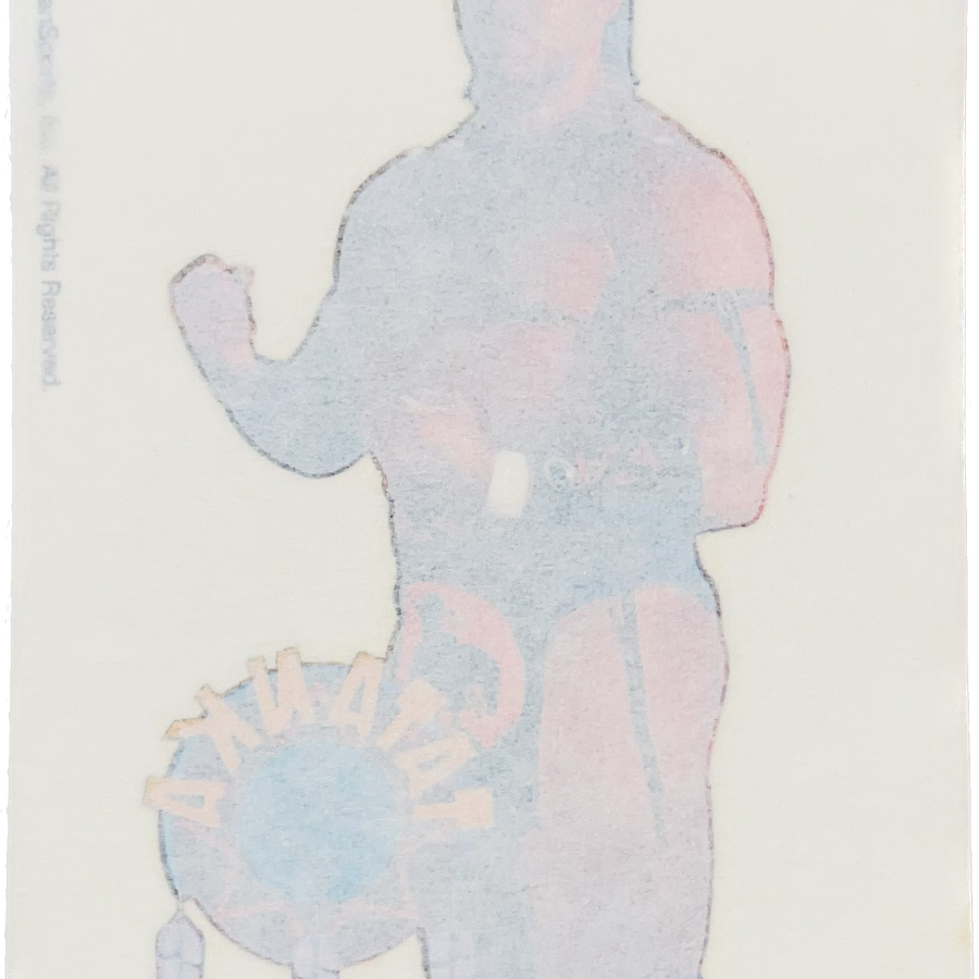 WWF Tattoos 1995 Tatanka from Germany Pwcatalog
