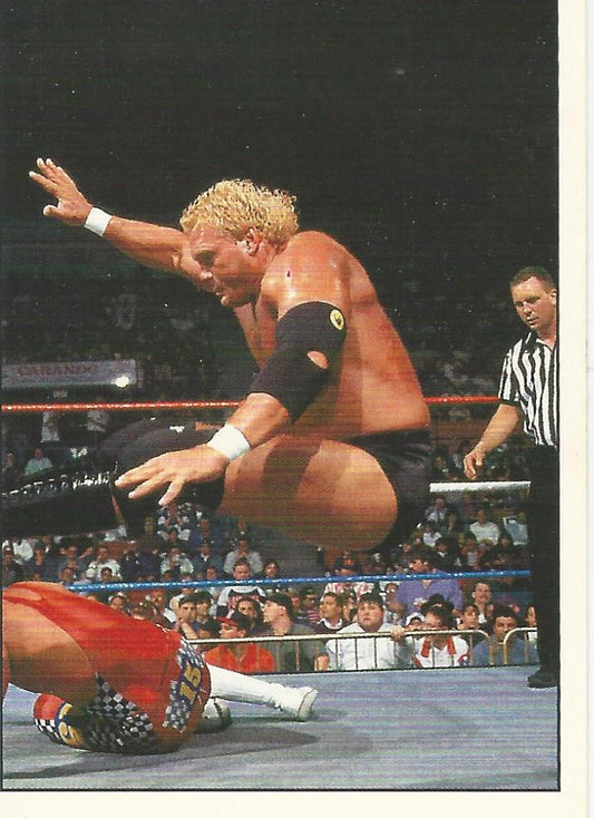WWF Panini 1995 Sticker Collection Sid #54