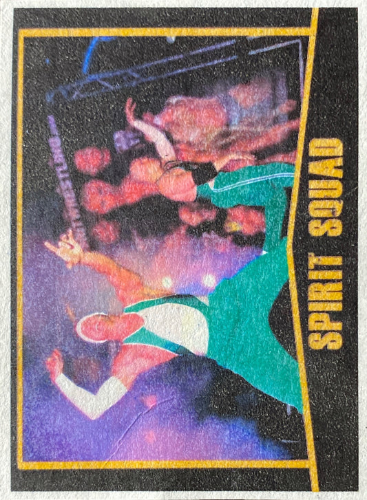 Spirit Squad Trading Card PWcatalog