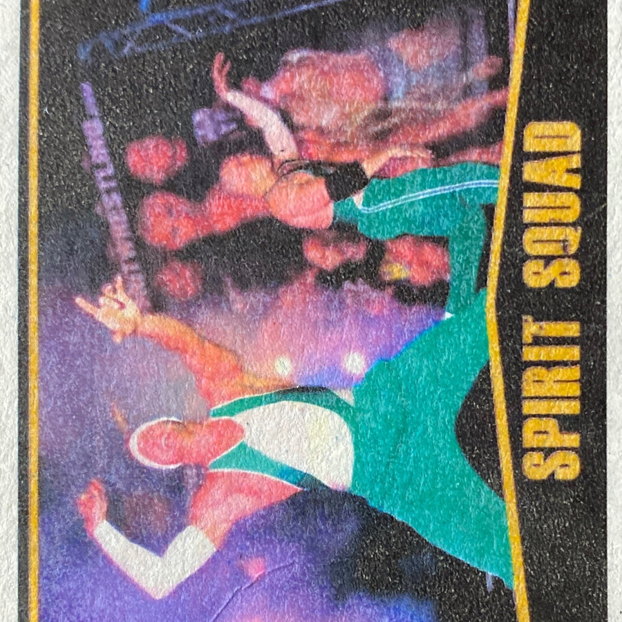 Spirit Squad trading card PW Catalog
