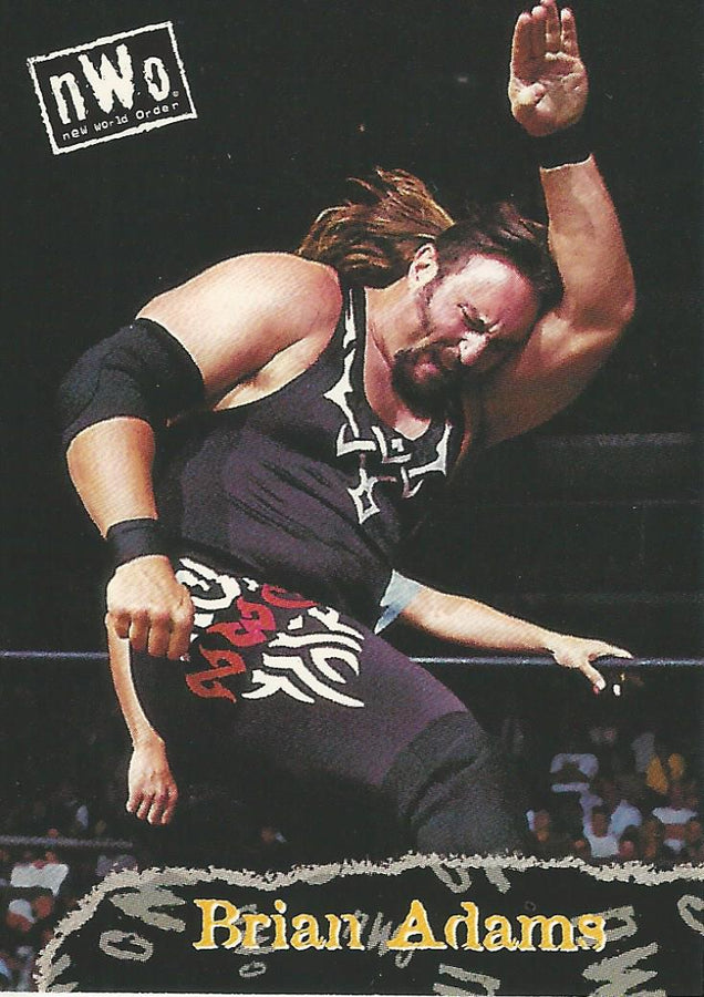 WCW/NWO Topps 1998 Brian Adams #55