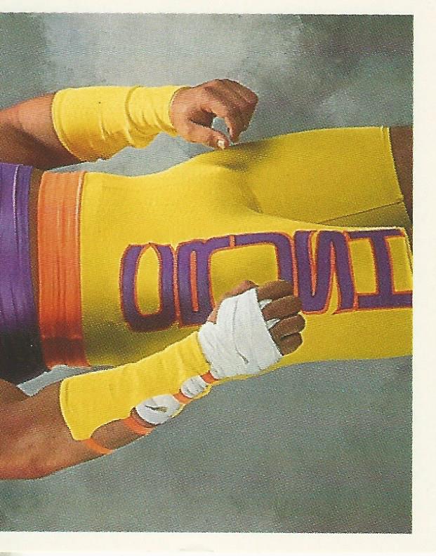 WWF Merlin Stickers 1992 Crush #55