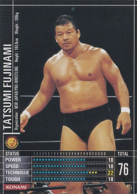 Tatsumi Fujinami