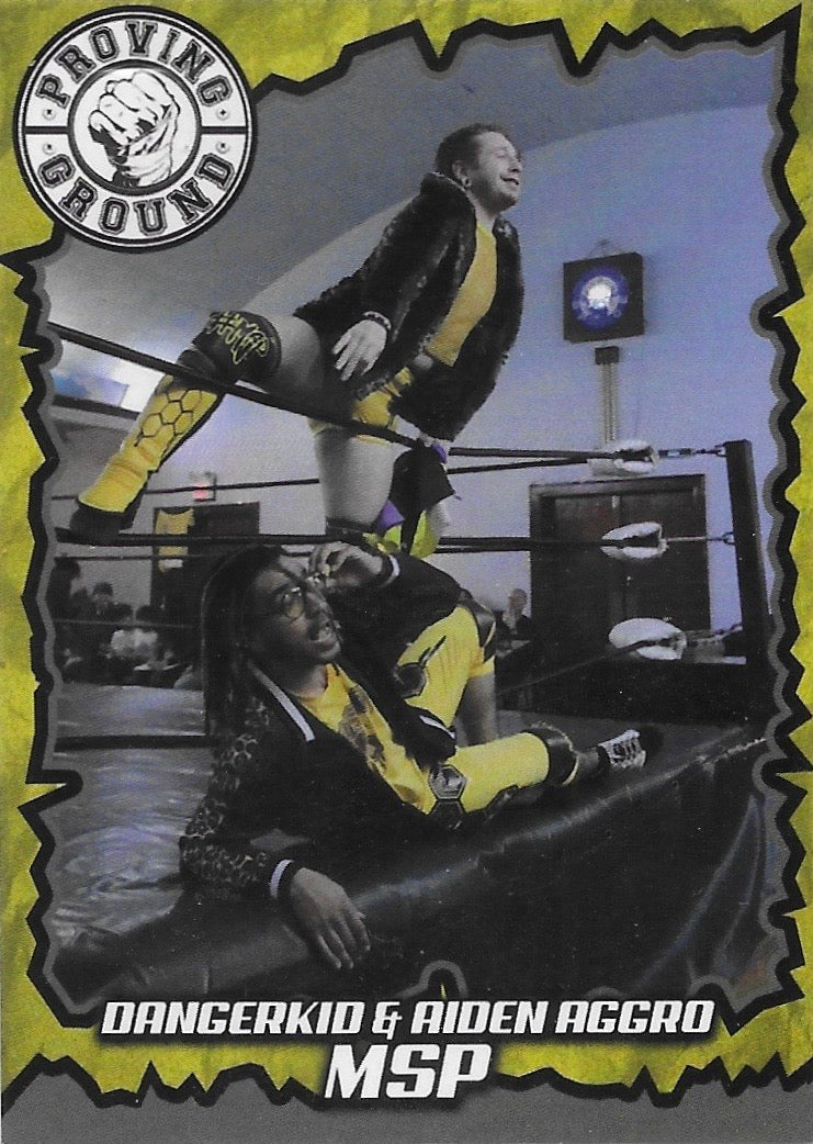 Dangerkid & Aiden Aggro MSP trading card PW Catalog