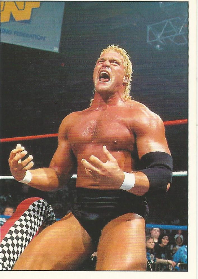 WWF Panini 1995 Sticker Collection Sid #56