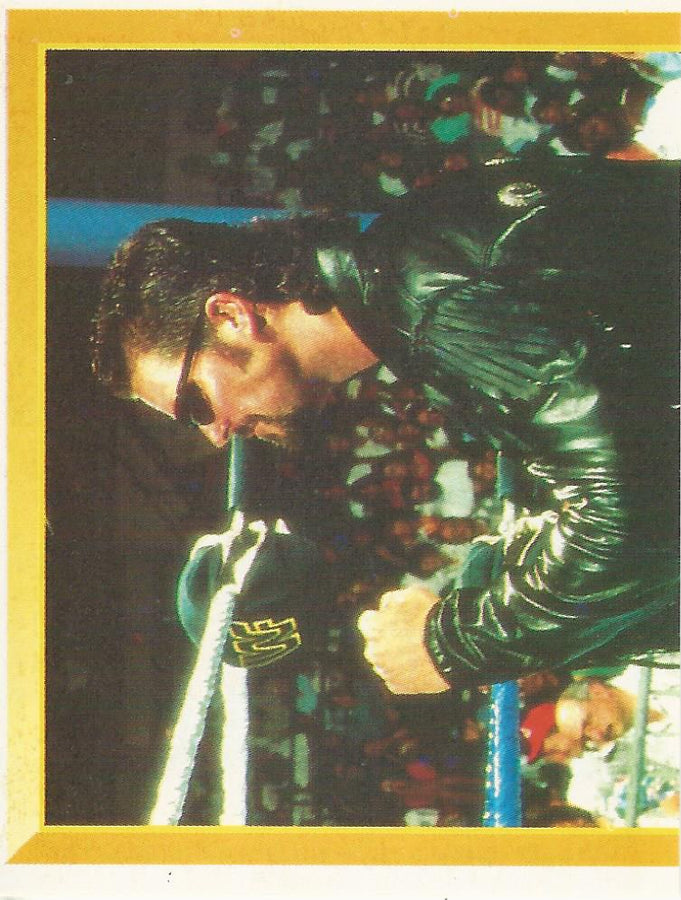 WWF Merlin Sticker 1994 Diesel #56