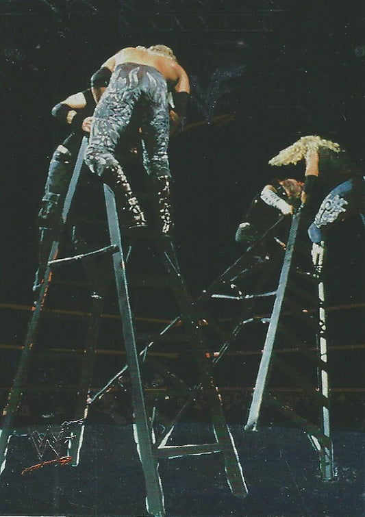 WWF No Mercy 2000 Hardy Boyz vs Edge and Christian #56