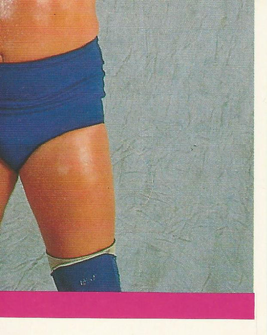 WWF Merlin Sticker Collection 1990 Hacksaw Jim Duggan #56
