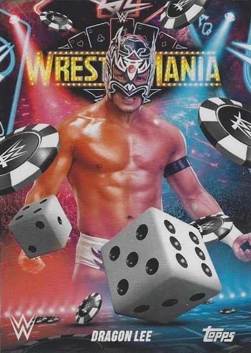 Dragon LEE trading card PW Catalog