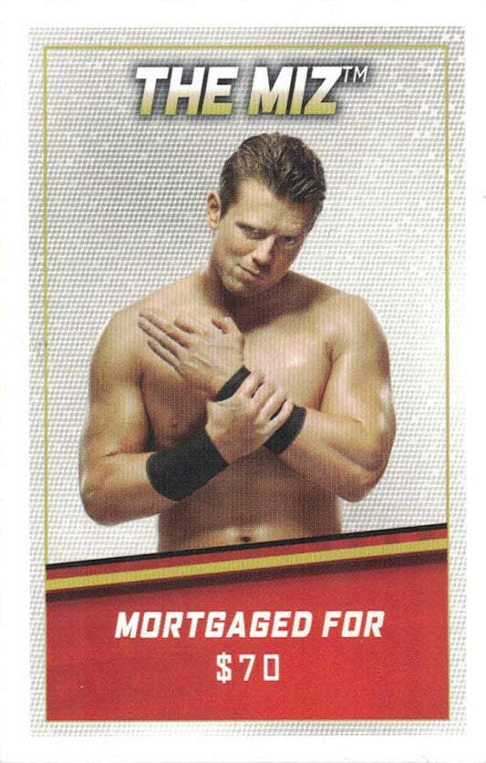 The MIZ