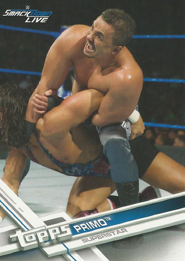 WWE Topps Then Now Forever 2017 Primo #157