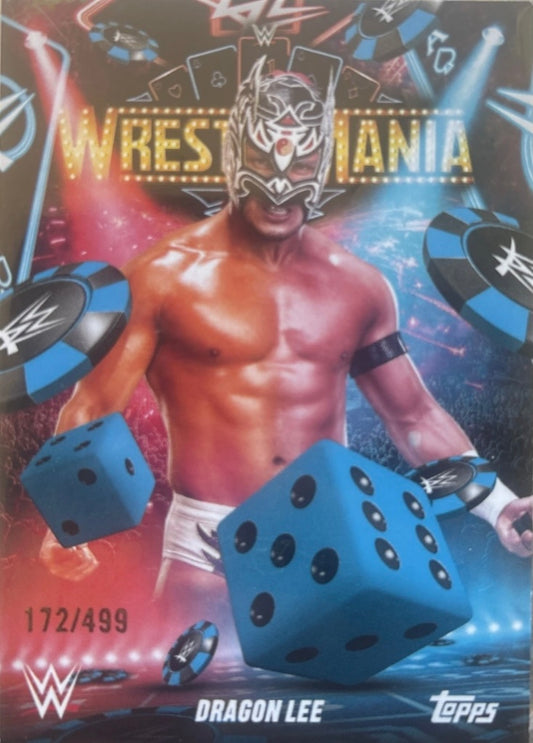 Dragon LEE trading card PW Catalog