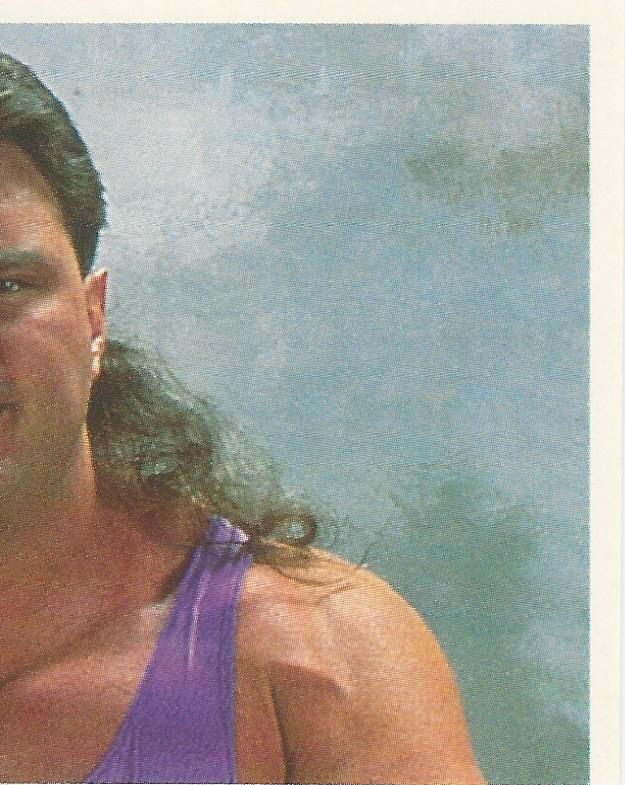 WWF Merlin Stickers 1992 Crush #58