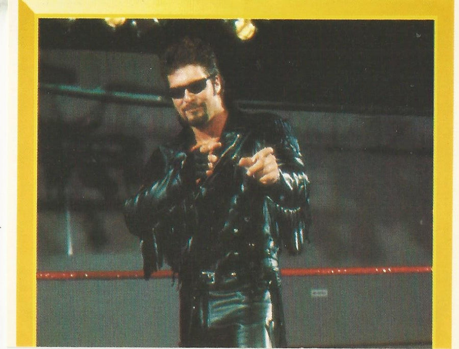 WWF Merlin Sticker 1994 Diesel #58