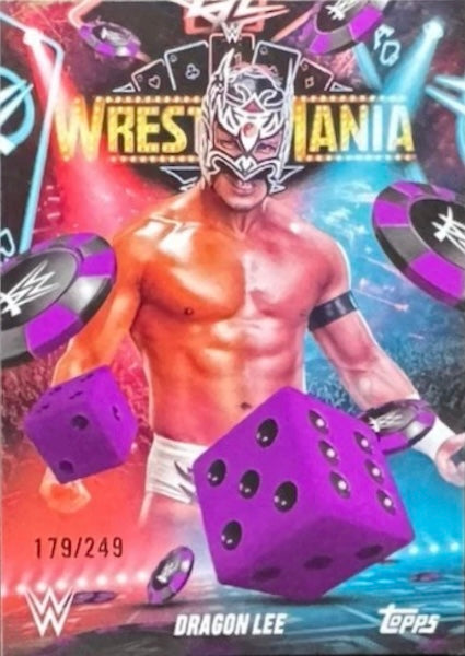 Dragon LEE trading card PW Catalog