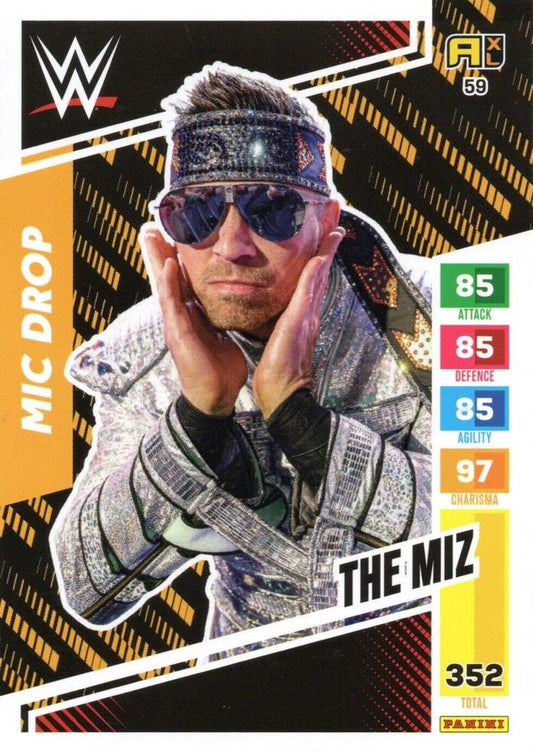 The MIZ