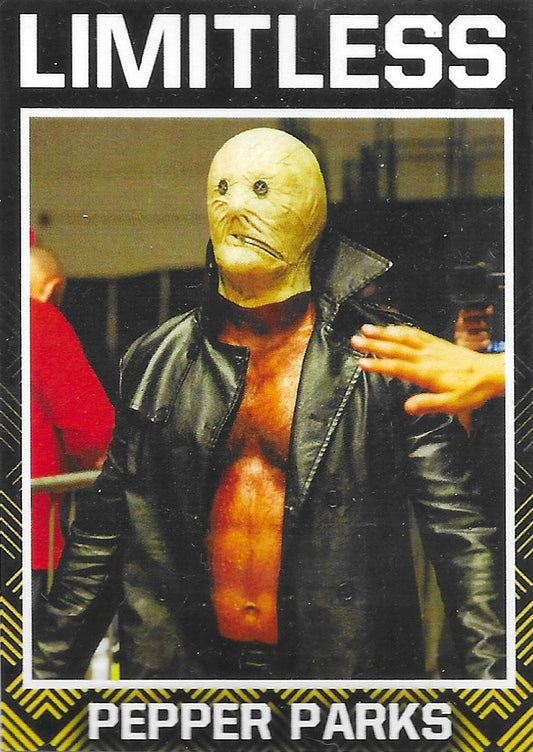Pepper Parks trading card PW Catalog