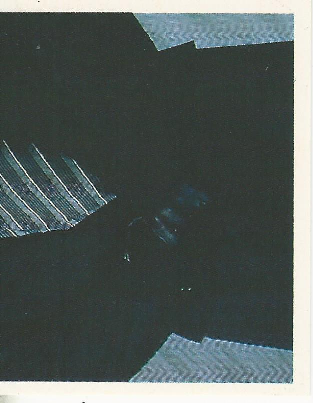 WWF Merlin Stickers 1991 Undertaker #59