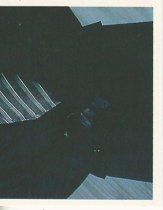 WWF Merlin Stickers 1991 Undertaker #59