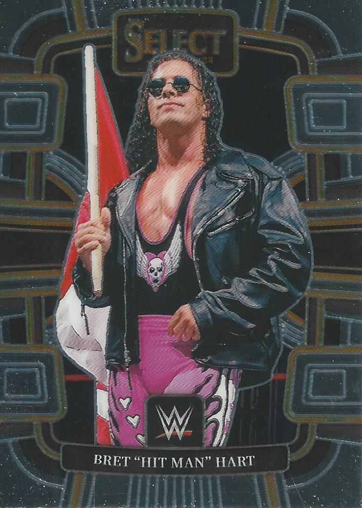 WCW Toy Biz Bash at the Beach Bret 