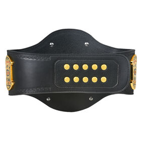 ECW World Heavyweight Championship Replica Title