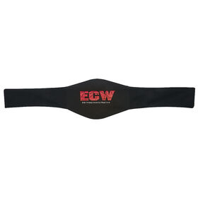 ECW World Heavyweight Championship Replica Title