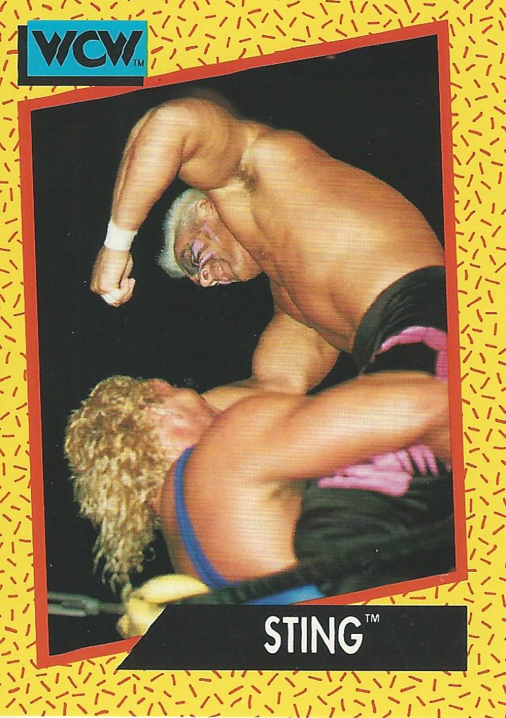 WCW Impel 1991 Sting #5