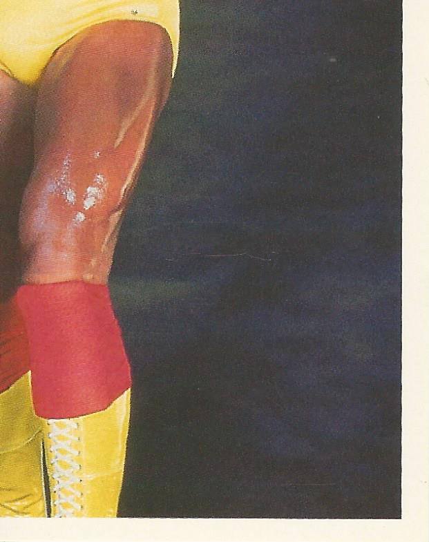WWF Merlin Stickers 1992 Hulk Hogan #5