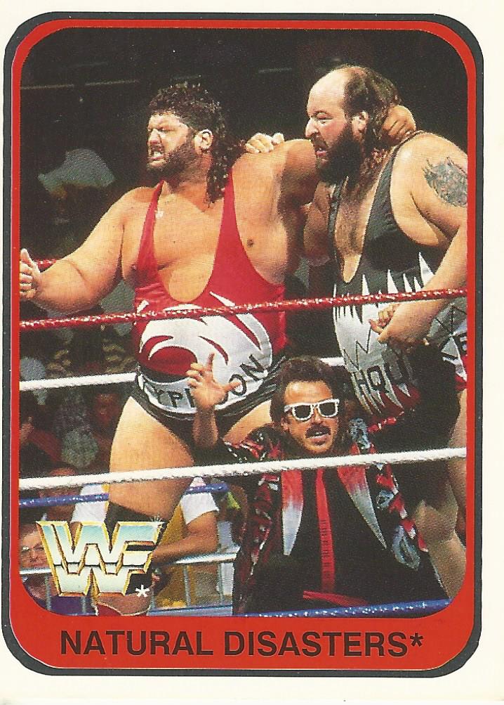 WWF Merlin 1991 Natural Disasters #5