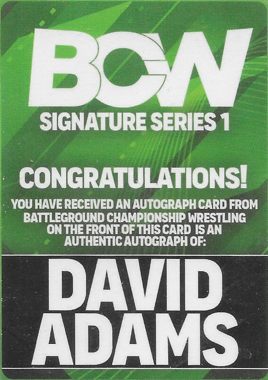 David Adams