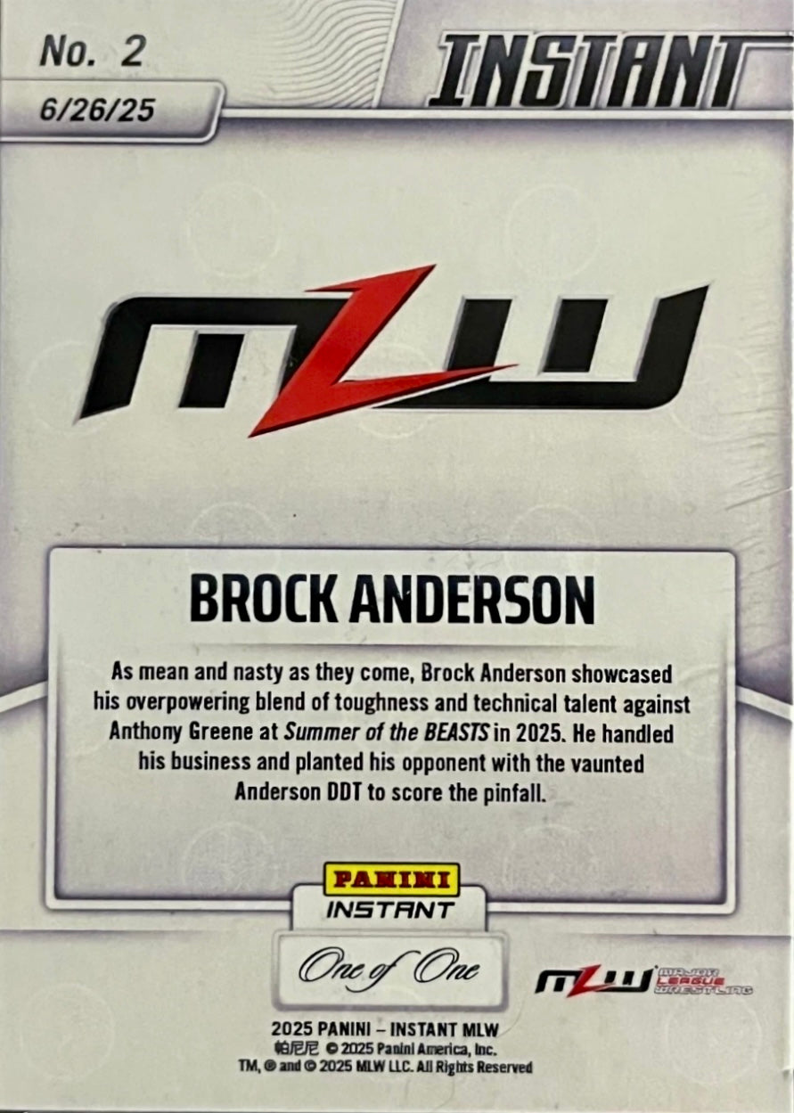 Brock Anderson – Brock Anderson Wins With Devastating DDT - image 2