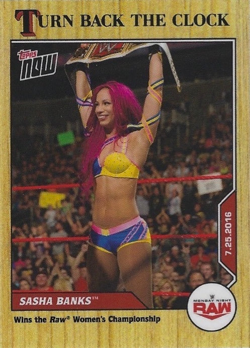 Monday Night RAW 7.25.2016 Sasha Banks Wins the RAW Women’s Championship