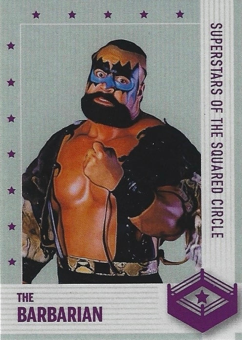 The Barbarian