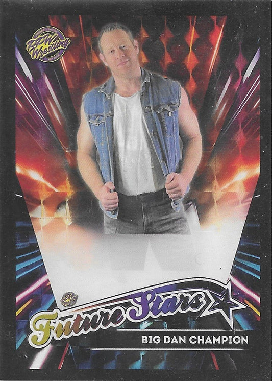 Big DAN Champion trading card PW Catalog