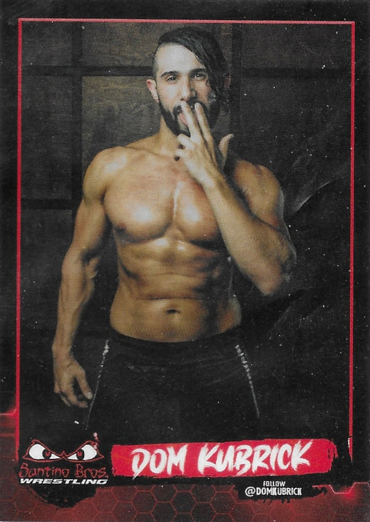 DOM Kubrick trading card PW Catalog