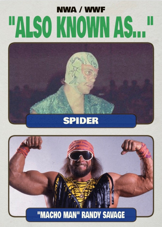 Spider / “Macho Man” Randy Savage