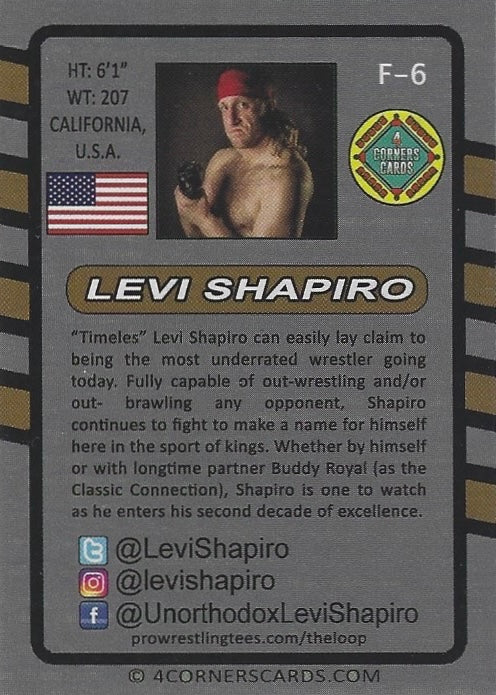 Levi Shapiro