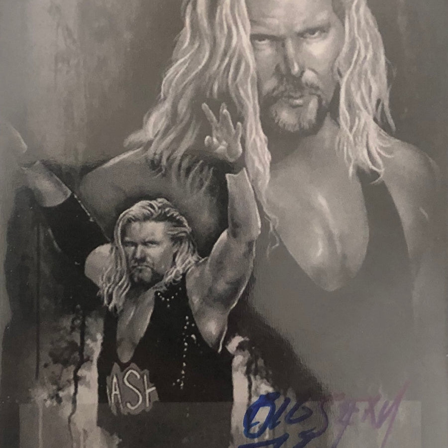 Kevin Nash
