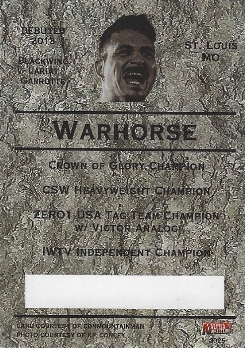 “Commissar of Nihilation” Warhorse
