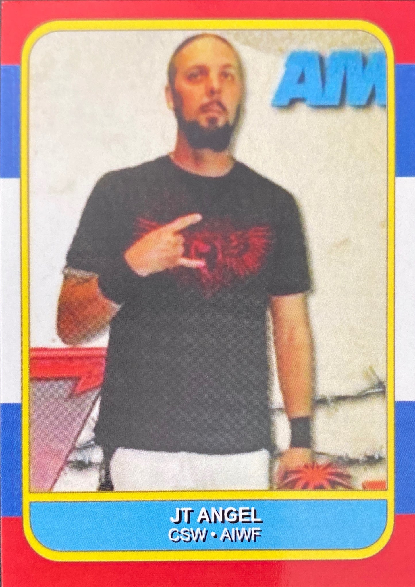 JT Angel trading card PW Catalog