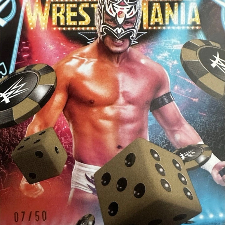 Dragon LEE trading card PW Catalog